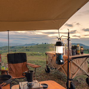 Aparat radio cu lampa de lucru LXT 18V / 14,4V, 310 lm, livrat fara acumulatori